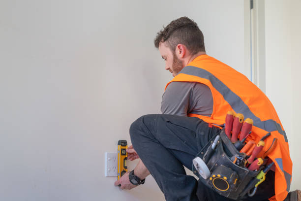 Best Licensed Electrician  in Holualoa, HI