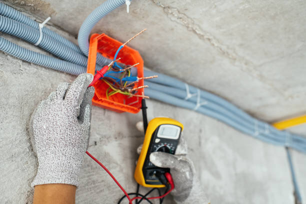 Best Residential Electrician Services  in Holualoa, HI
